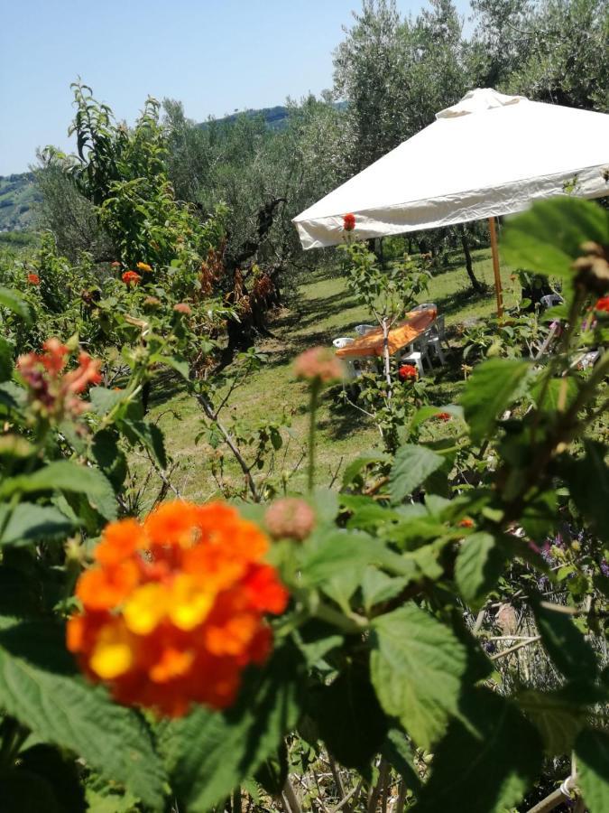 Vacanze In Collina, Tra Mare E Monti Bucchianico Exterior photo